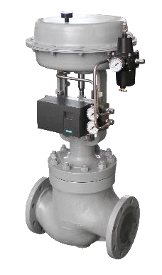 Globe Control Valve