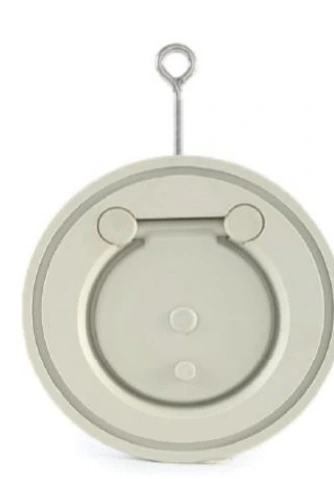PVDF Plate Check Valve